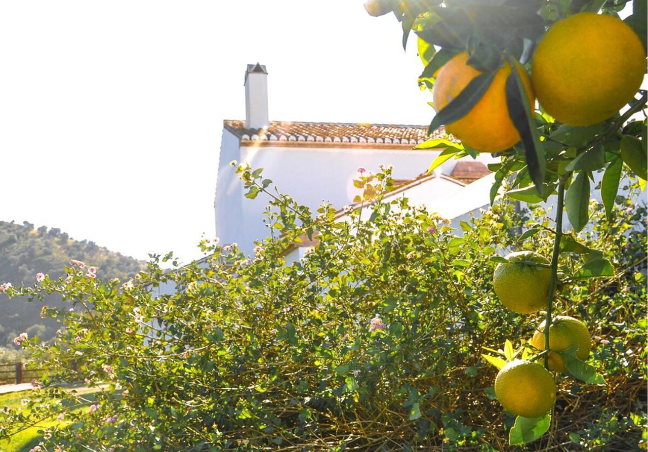 Cortijo Las Caballerias Alora Exterior foto