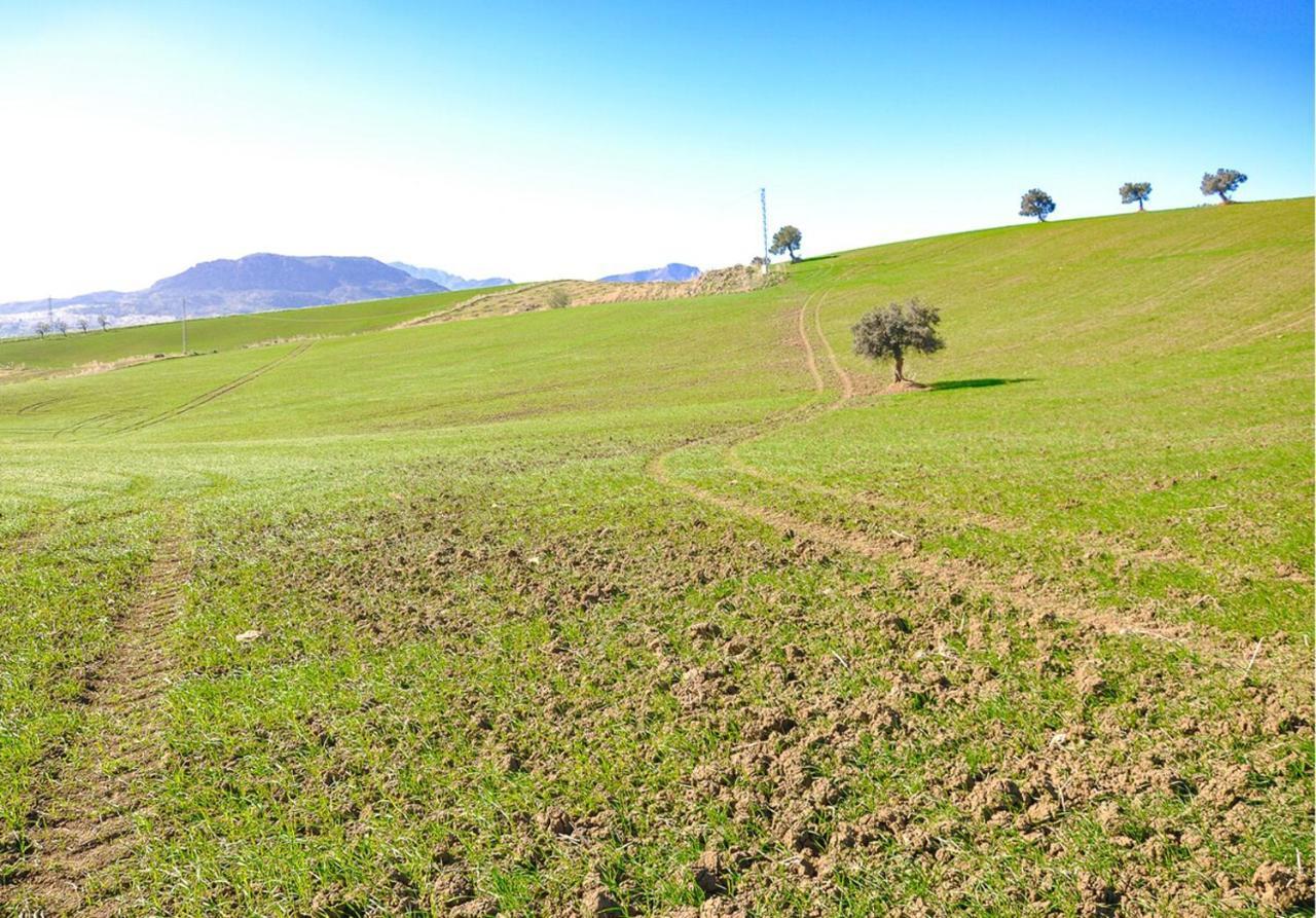 Cortijo Las Caballerias Alora Exterior foto